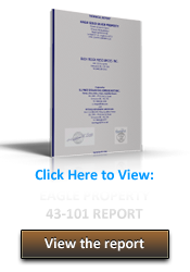 Recent Eagle 43-101 Report 